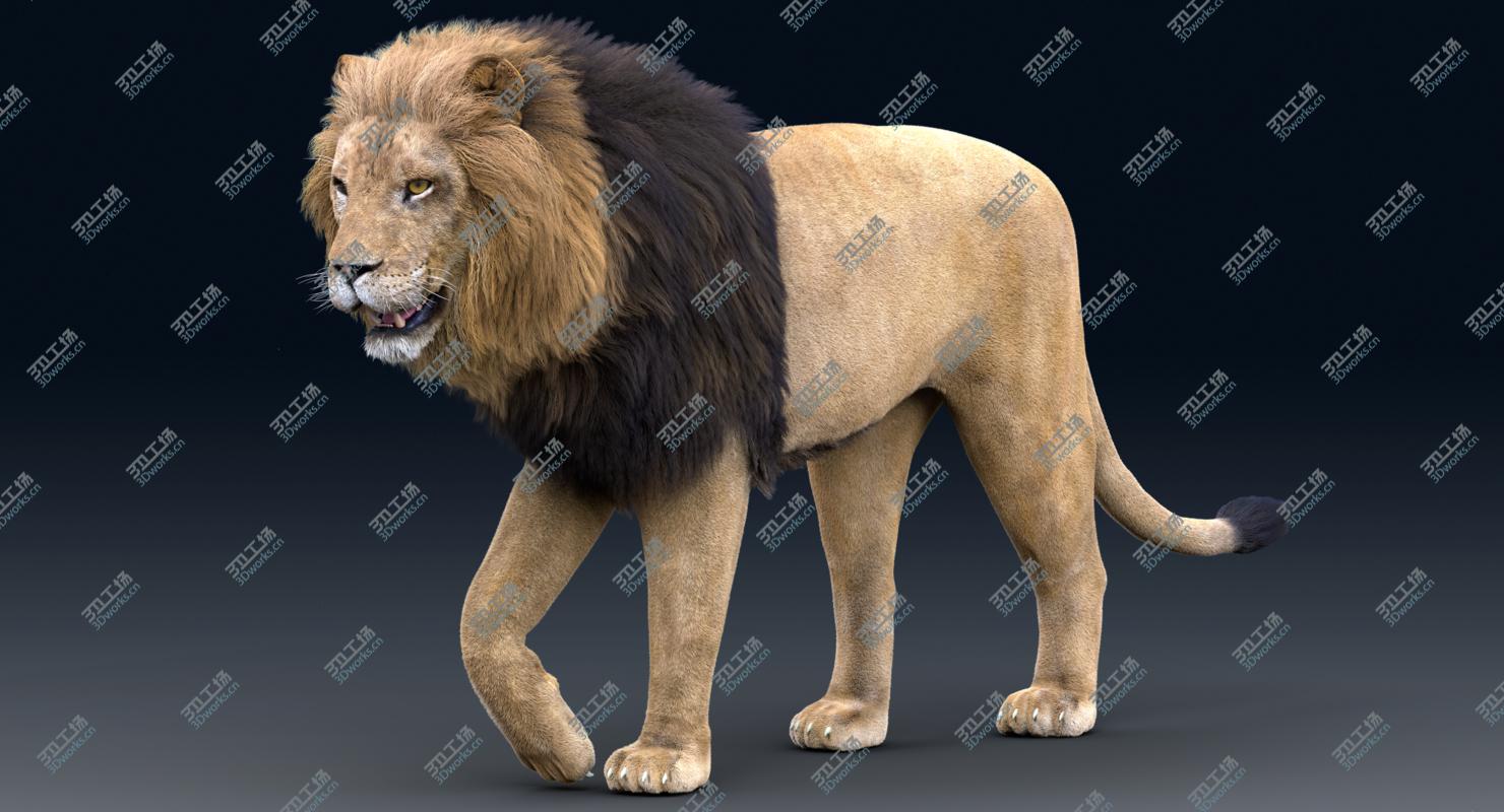 images/goods_img/20210313/3D Lion(Rigged, FUR)1 model/5.jpg